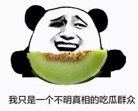 吃瓜群众不看视频怎么办,吃瓜群众如何应对“无视频”困境