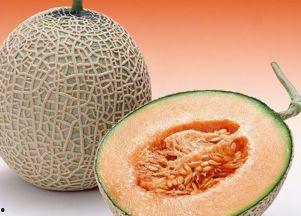 宠物吃哈密瓜好吗视频讲解,宠物饮食中的健康之选？