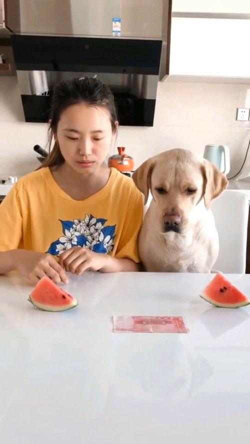 近期最火的吃瓜视频大全